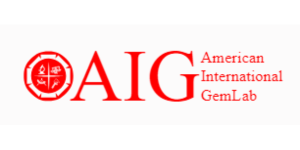 aig logo