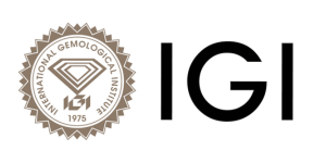 IGI logo