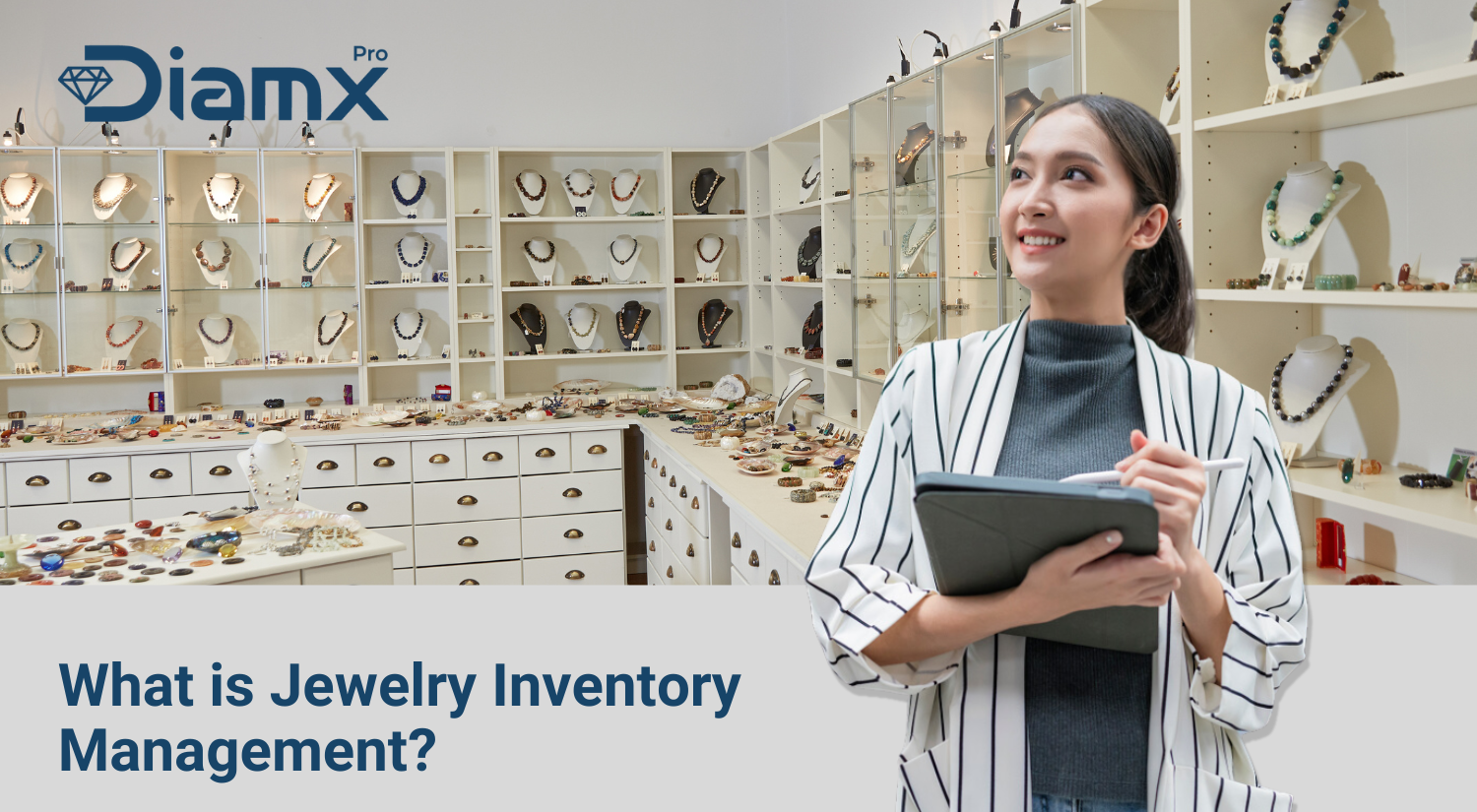 Jewelry Inventory Management software